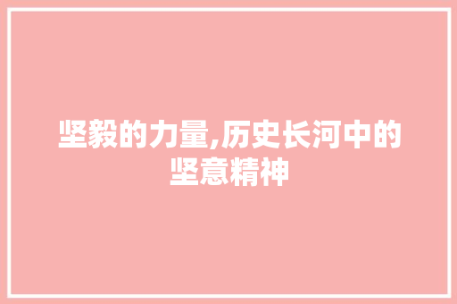 坚毅的力量,历史长河中的坚意精神