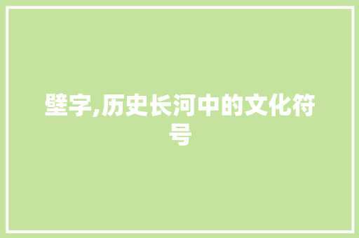 壁字,历史长河中的文化符号