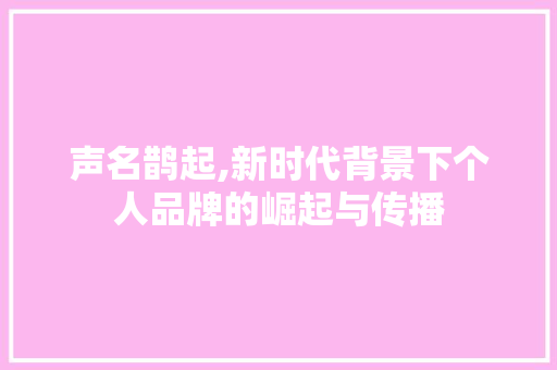 声名鹊起,新时代背景下个人品牌的崛起与传播