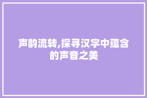 声韵流转,探寻汉字中蕴含的声音之美