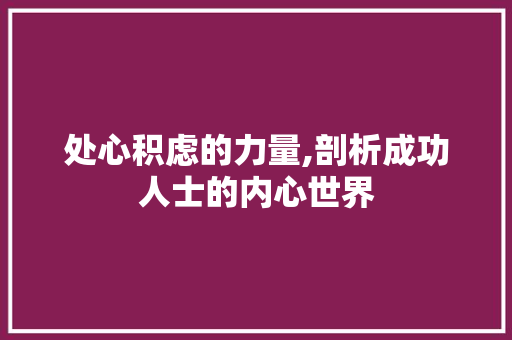 处心积虑的力量,剖析成功人士的内心世界
