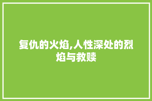 复仇的火焰,人性深处的烈焰与救赎