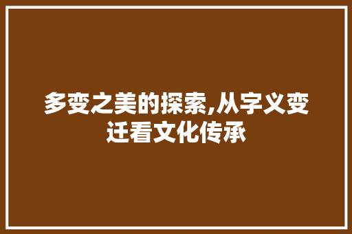 多变之美的探索,从字义变迁看文化传承