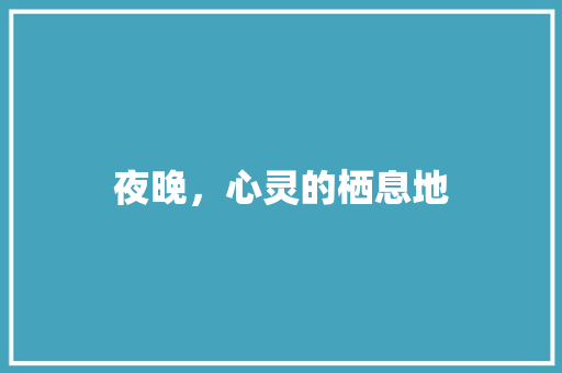 夜晚，心灵的栖息地