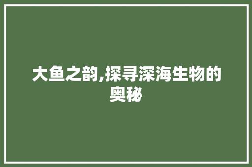大鱼之韵,探寻深海生物的奥秘
