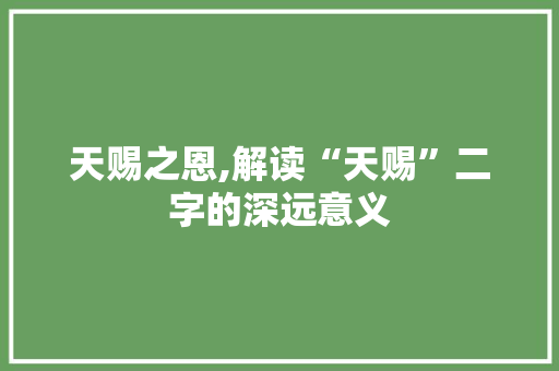 天赐之恩,解读“天赐”二字的深远意义