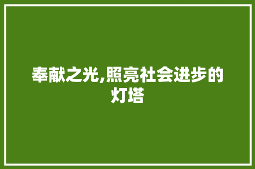 奉献之光,照亮社会进步的灯塔
