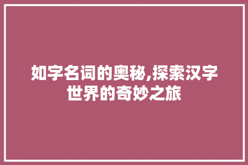 如字名词的奥秘,探索汉字世界的奇妙之旅