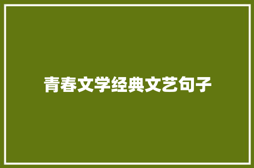 青春文学经典文艺句子 词汇积累