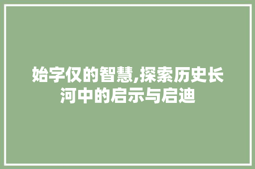 始字仅的智慧,探索历史长河中的启示与启迪