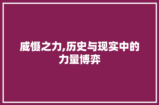 威慑之力,历史与现实中的力量博弈