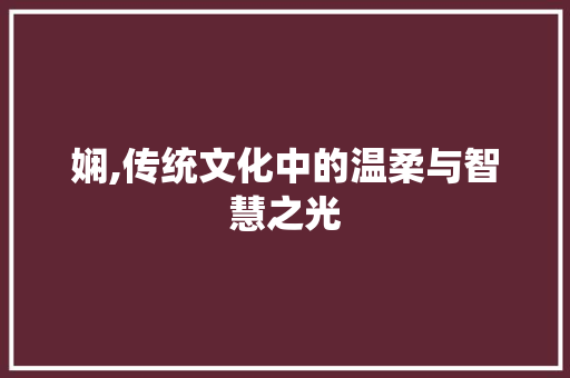 娴,传统文化中的温柔与智慧之光