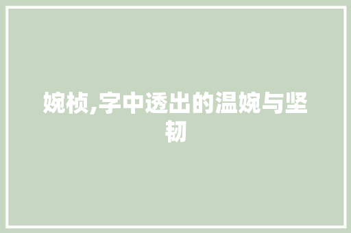 婉桢,字中透出的温婉与坚韧