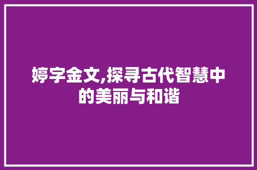 婷字金文,探寻古代智慧中的美丽与和谐