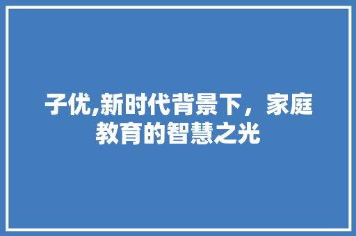 子优,新时代背景下，家庭教育的智慧之光