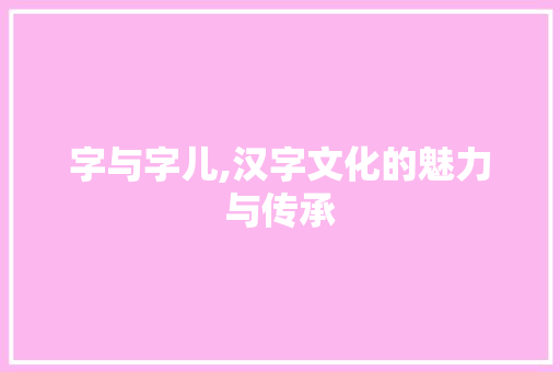 字与字儿,汉字文化的魅力与传承