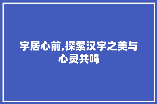 字居心前,探索汉字之美与心灵共鸣
