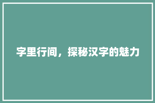 字里行间，探秘汉字的魅力