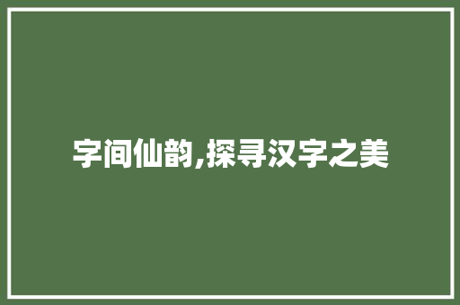 字间仙韵,探寻汉字之美