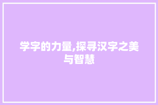 学字的力量,探寻汉字之美与智慧