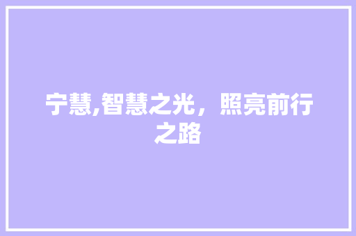 宁慧,智慧之光，照亮前行之路