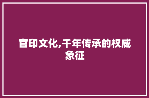 官印文化,千年传承的权威象征