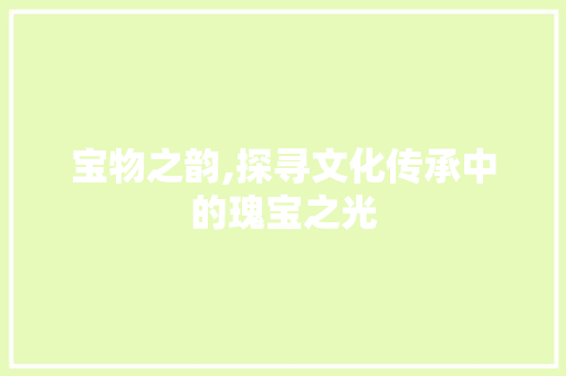 宝物之韵,探寻文化传承中的瑰宝之光 报告写作