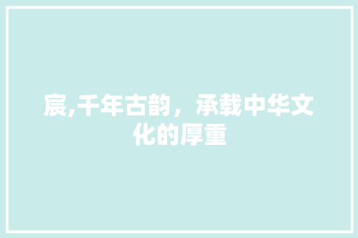 宸,千年古韵，承载中华文化的厚重