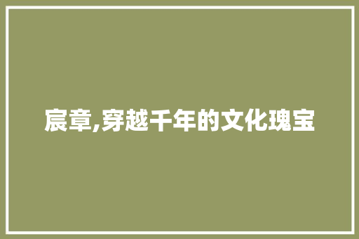 宸章,穿越千年的文化瑰宝