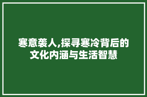 寒意袭人,探寻寒冷背后的文化内涵与生活智慧