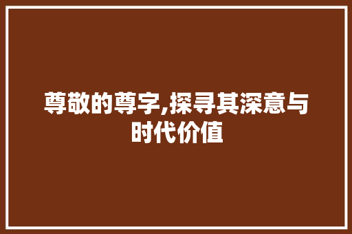尊敬的尊字,探寻其深意与时代价值
