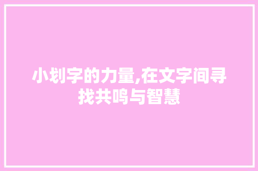 小划字的力量,在文字间寻找共鸣与智慧