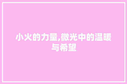 小火的力量,微光中的温暖与希望