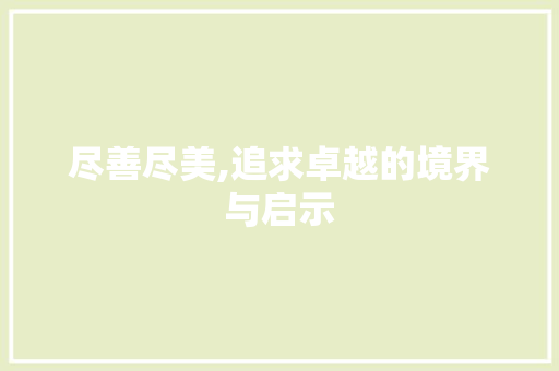 尽善尽美,追求卓越的境界与启示