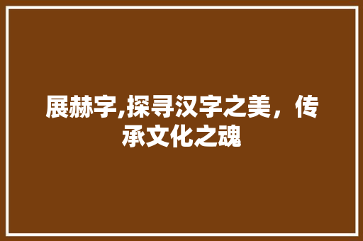 展赫字,探寻汉字之美，传承文化之魂 报告写作