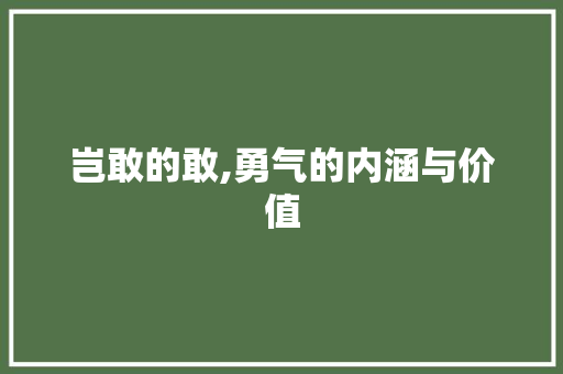 岂敢的敢,勇气的内涵与价值