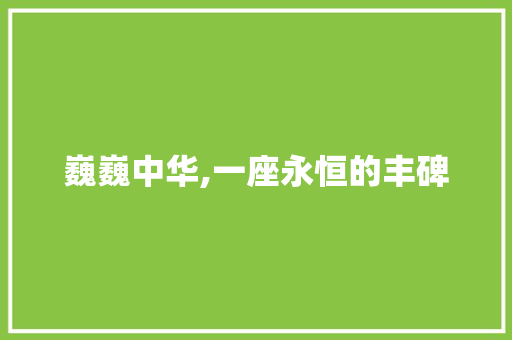 巍巍中华,一座永恒的丰碑