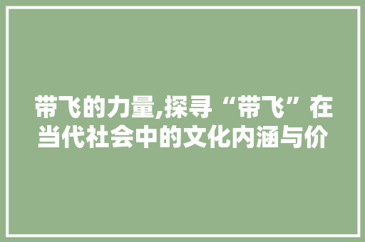 带飞的力量,探寻“带飞”在当代社会中的文化内涵与价值