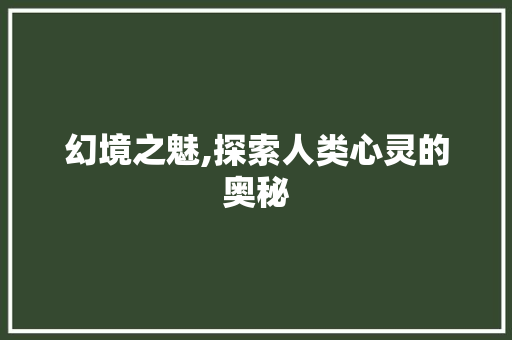 幻境之魅,探索人类心灵的奥秘