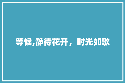 等候,静待花开，时光如歌