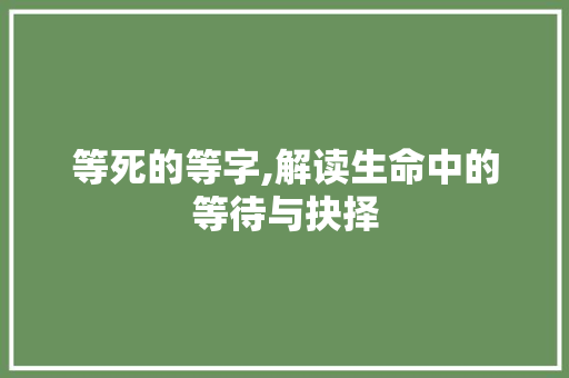 等死的等字,解读生命中的等待与抉择