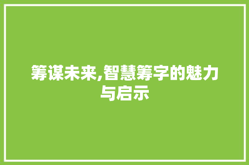 筹谋未来,智慧筹字的魅力与启示