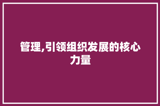 管理,引领组织发展的核心力量