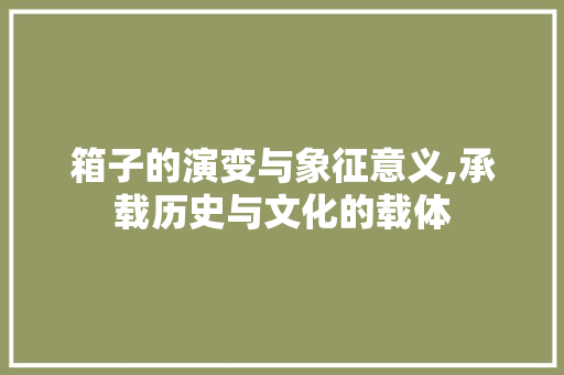 箱子的演变与象征意义,承载历史与文化的载体