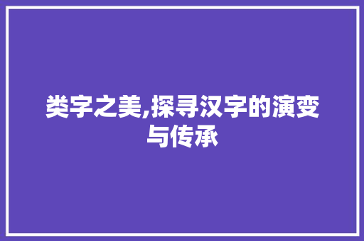 类字之美,探寻汉字的演变与传承