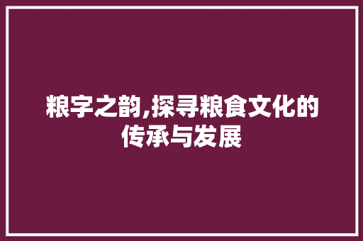 粮字之韵,探寻粮食文化的传承与发展