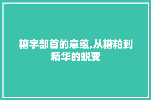 糟字部首的意蕴,从糟粕到精华的蜕变 词汇积累