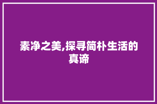素净之美,探寻简朴生活的真谛