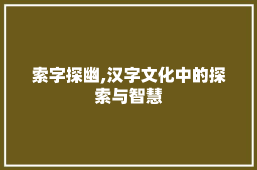 索字探幽,汉字文化中的探索与智慧