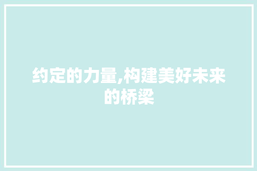 约定的力量,构建美好未来的桥梁